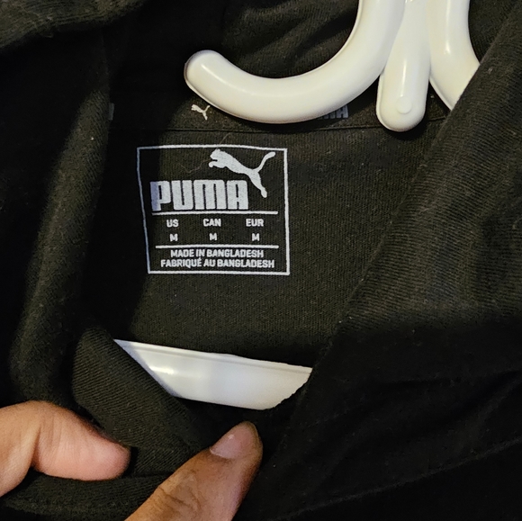 Puma puma puma - Picture 2 of 2